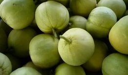 国外吃瓜爆料盘点是真的吗,真相与谣言的辨析盘点